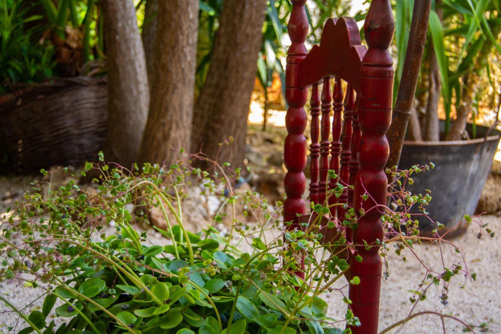 Alojamiento Rural Las Acacias Cabra Dış mekan fotoğraf